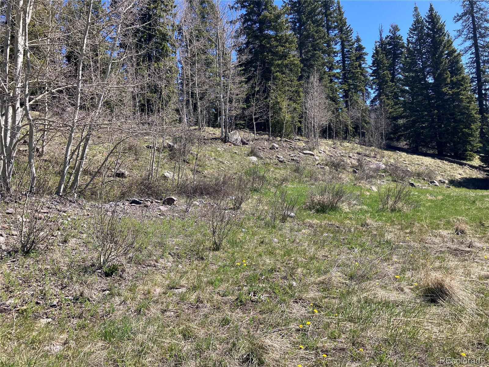 222 Lost Valley Drive Creede CO 81130
