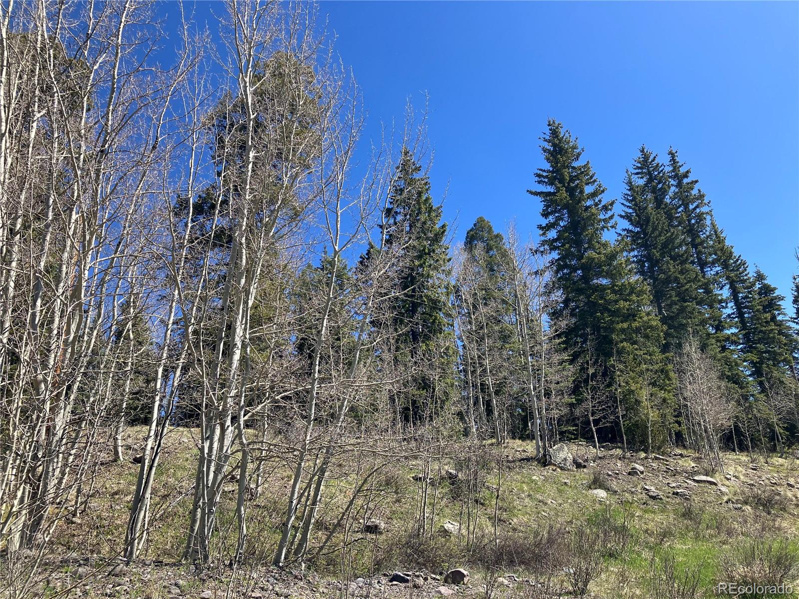 222 Lost Valley Drive Creede CO 81130