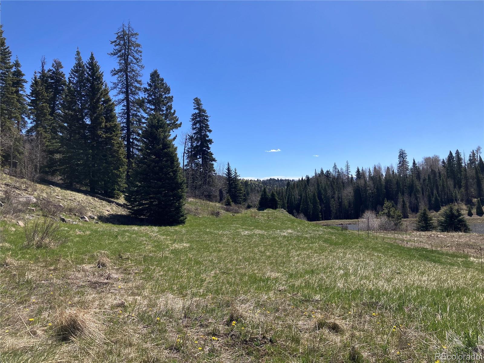222 Lost Valley Drive Creede CO 81130