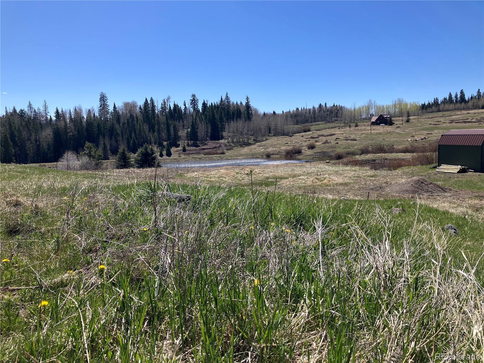 222 Lost Valley Drive Creede CO 81130