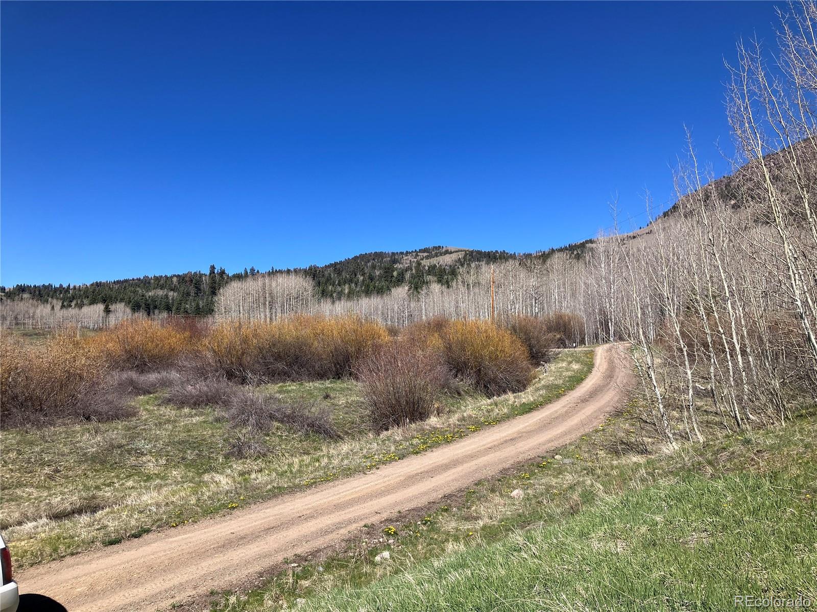 222 Lost Valley Drive Creede CO 81130