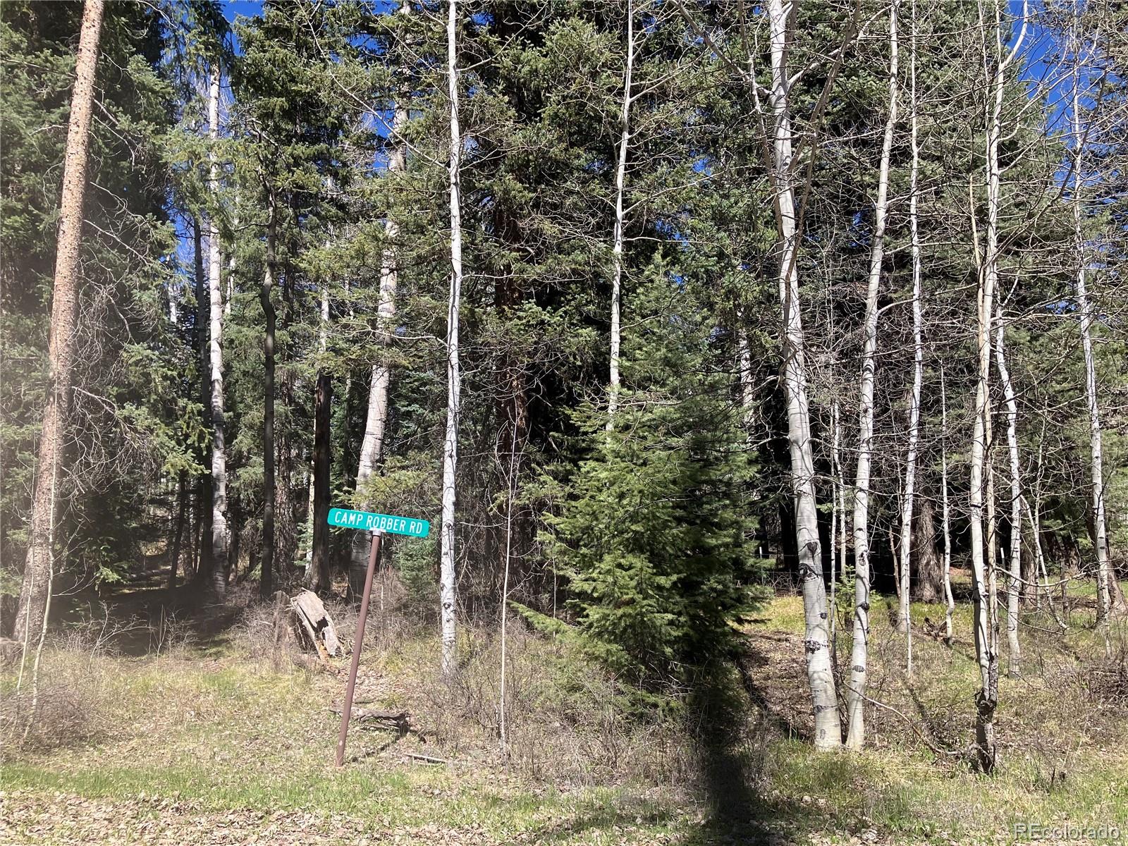 222 Lost Valley Drive Creede CO 81130