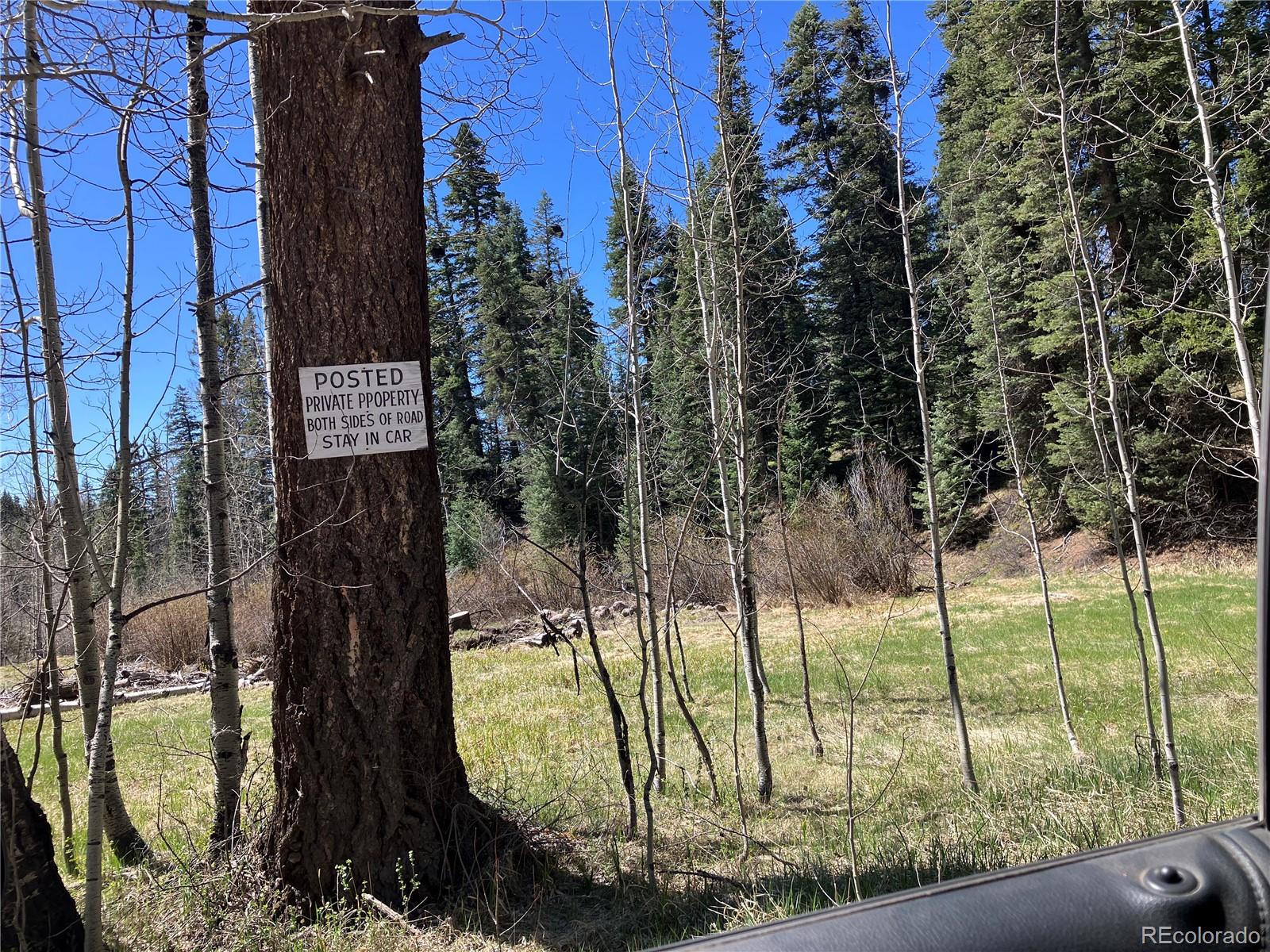 222 Lost Valley Drive Creede CO 81130