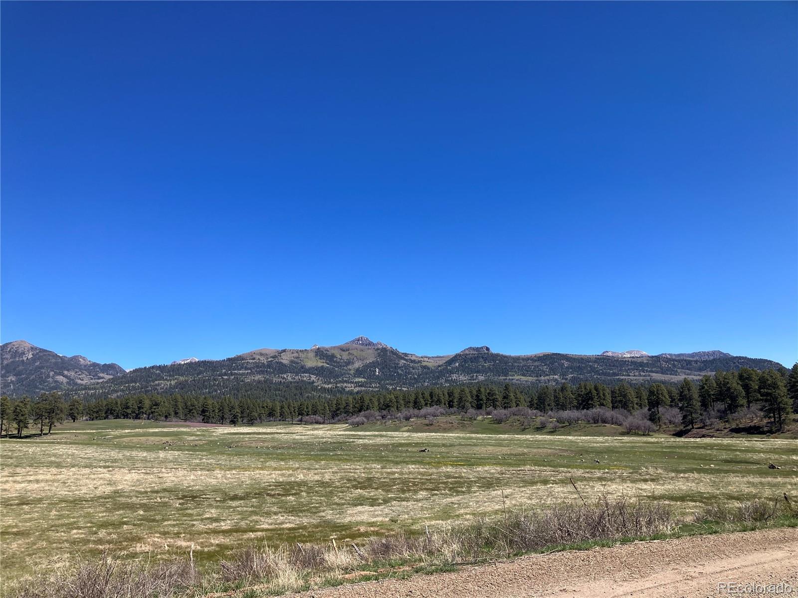 222 Lost Valley Drive Creede CO 81130