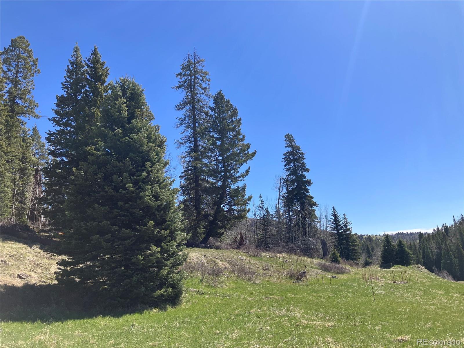 222 Lost Valley Drive Creede CO 81130
