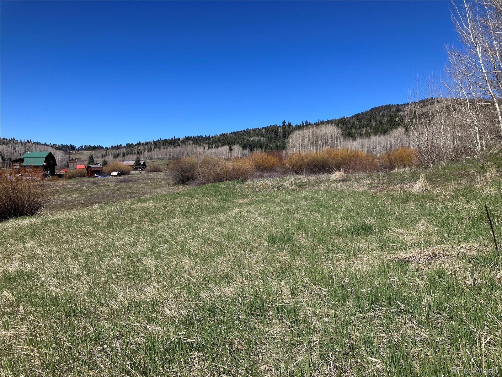 222 Lost Valley Drive Creede CO 81130