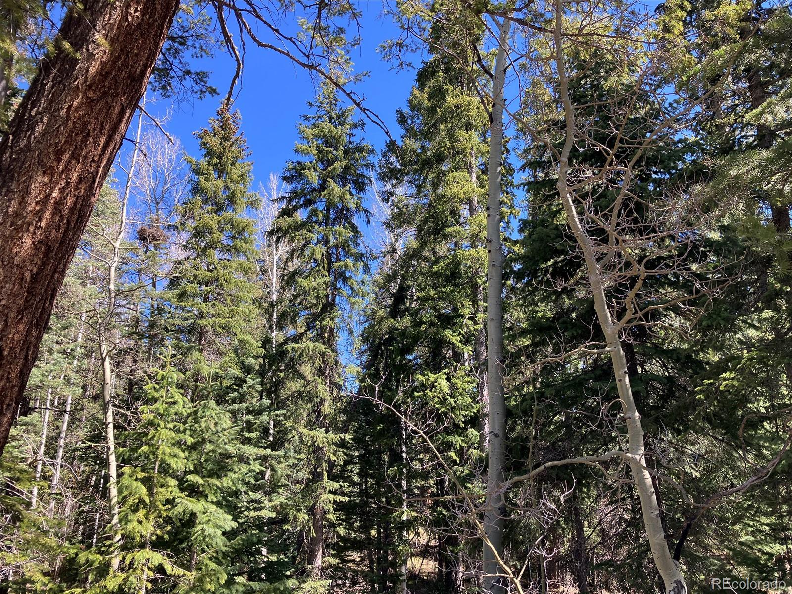 222 Lost Valley Drive Creede CO 81130