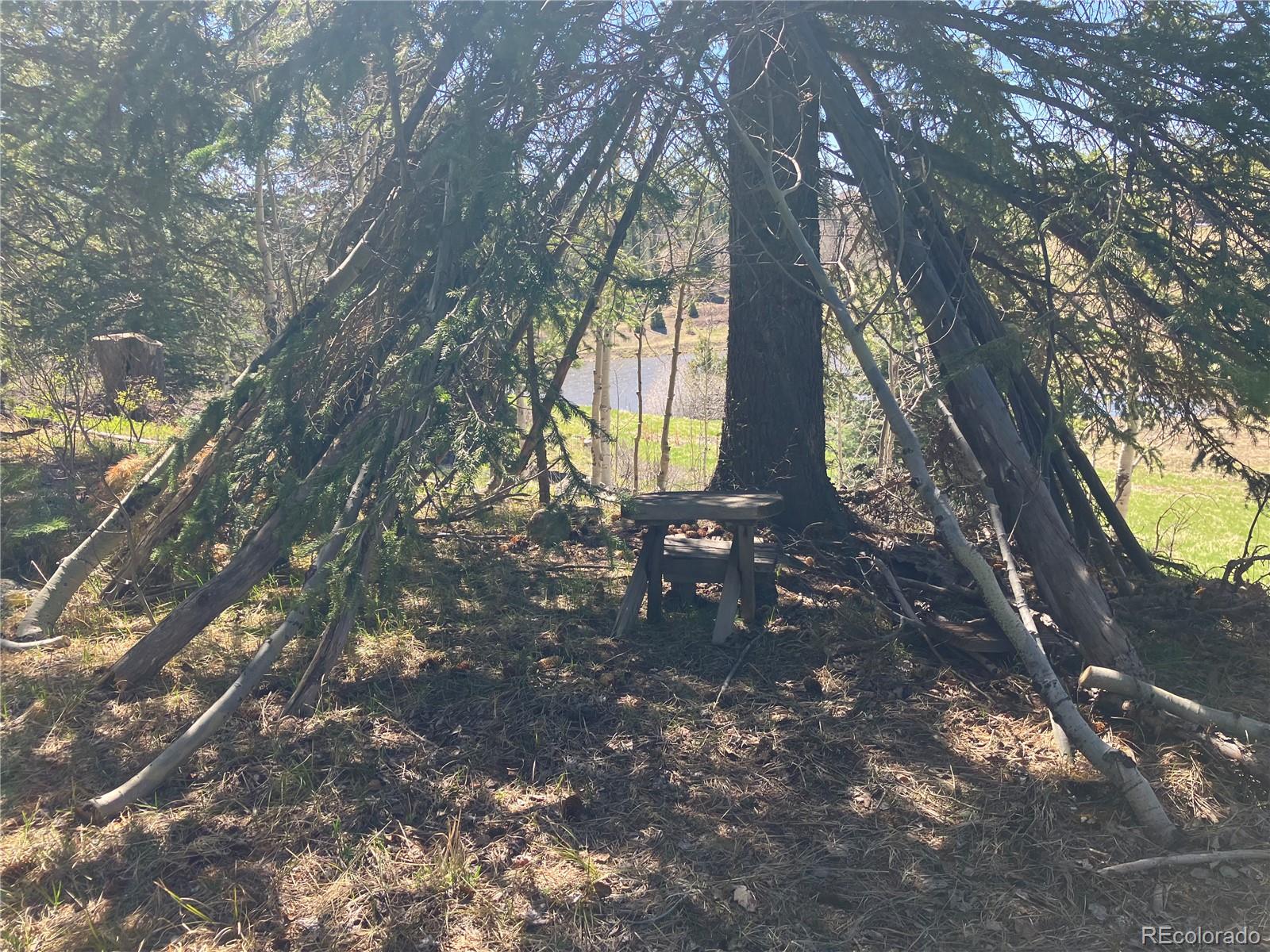 222 Lost Valley Drive Creede CO 81130