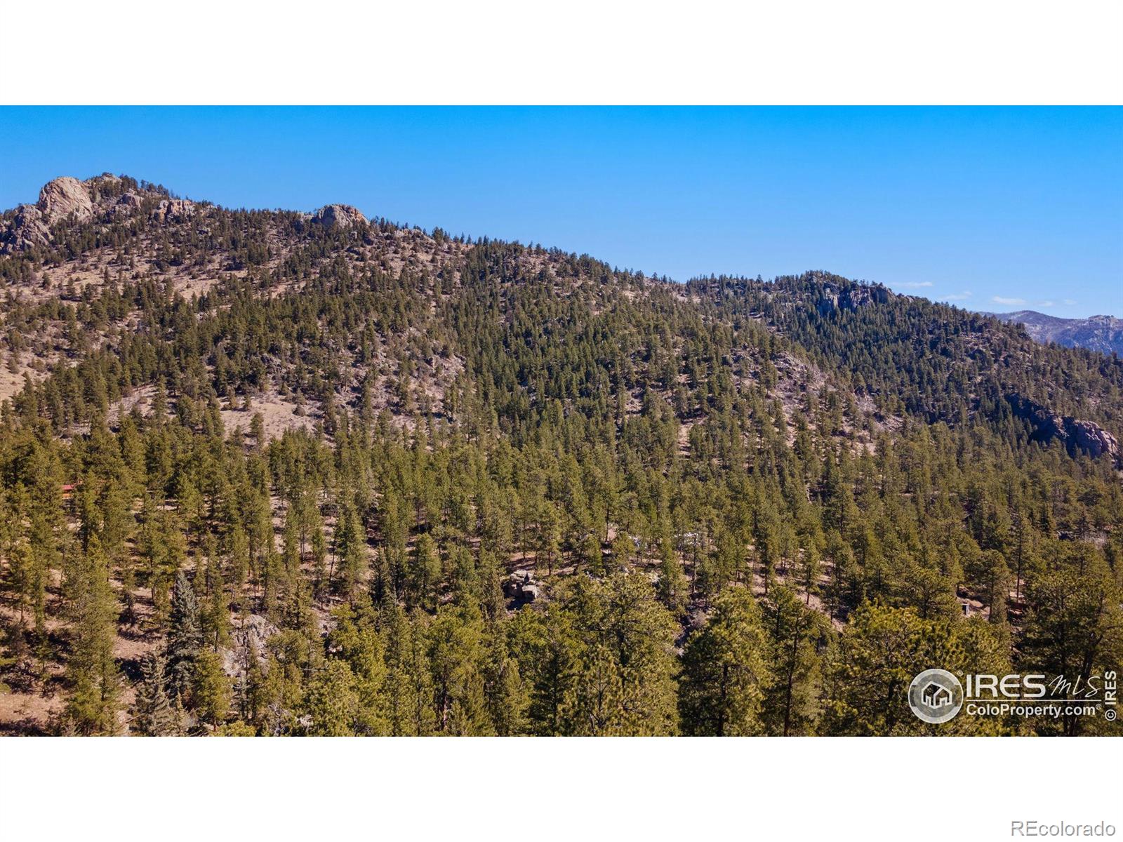 105 Fox Creek Road Glen Haven CO 80532
