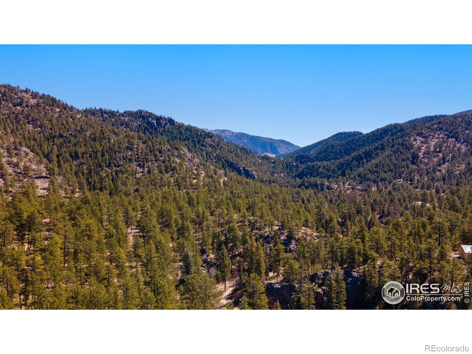 105 Fox Creek Road Glen Haven CO 80532