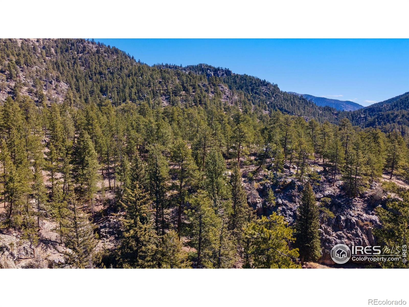 105 Fox Creek Road Glen Haven CO 80532