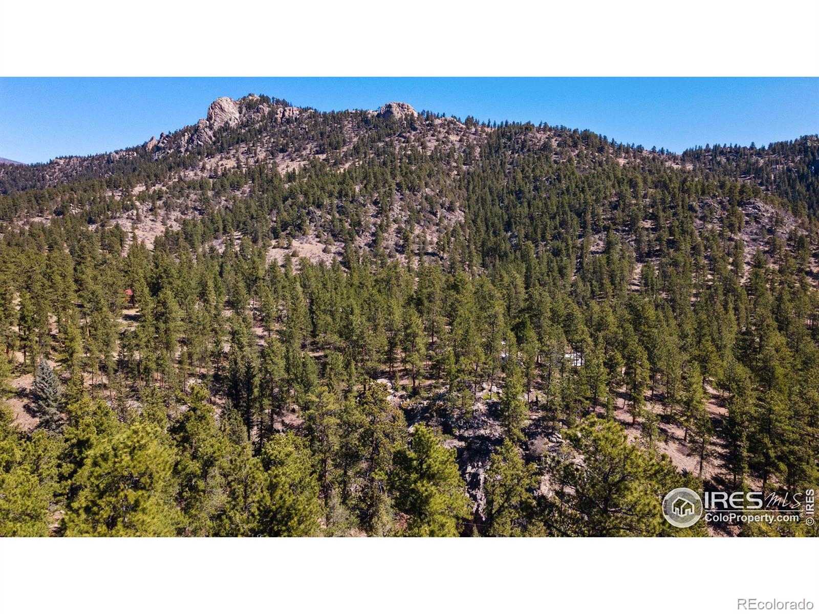 105 Fox Creek Road Glen Haven CO 80532