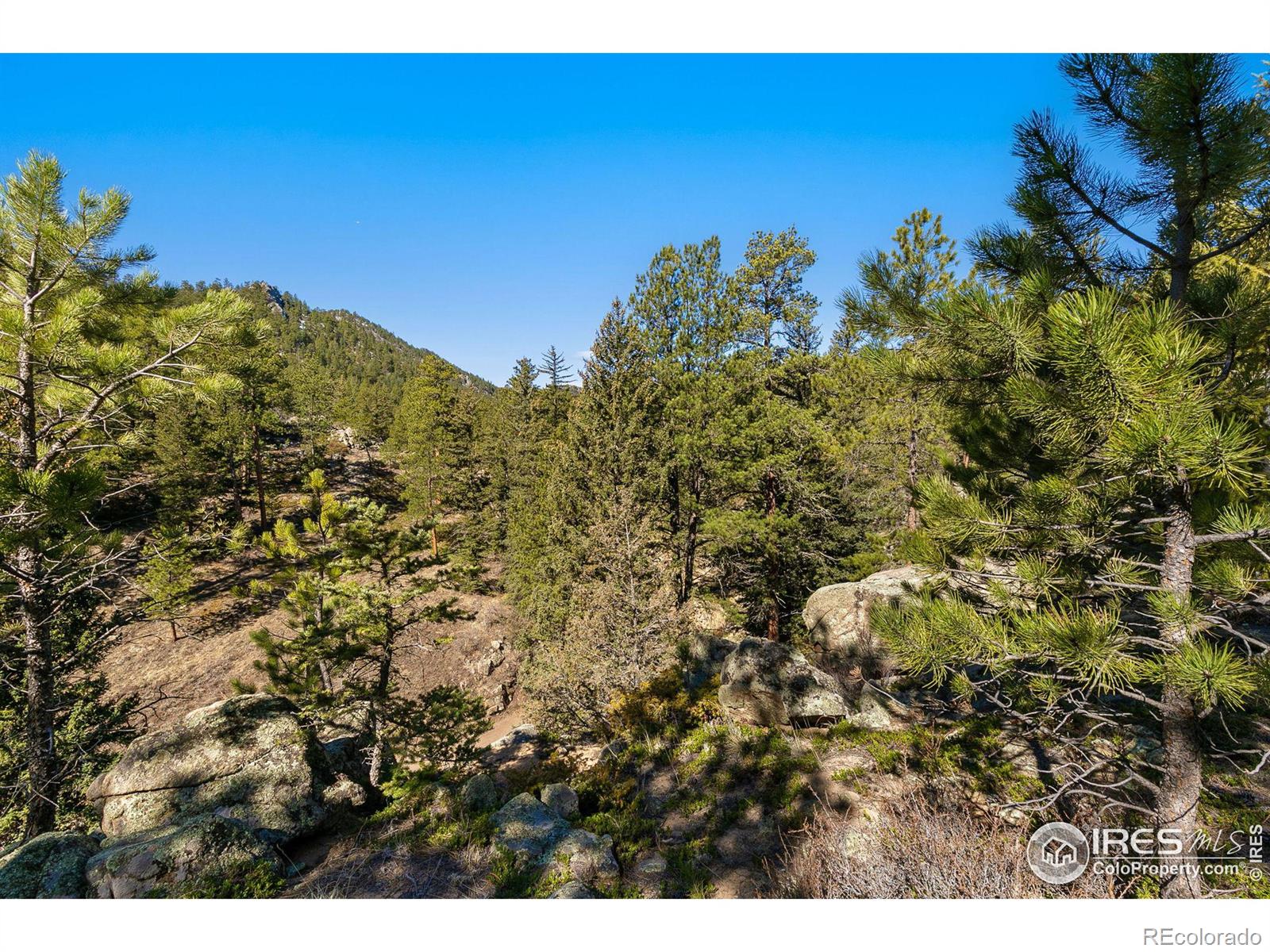 105 Fox Creek Road Glen Haven CO 80532