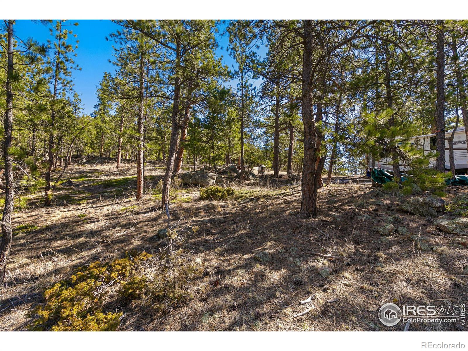 105 Fox Creek Road Glen Haven CO 80532
