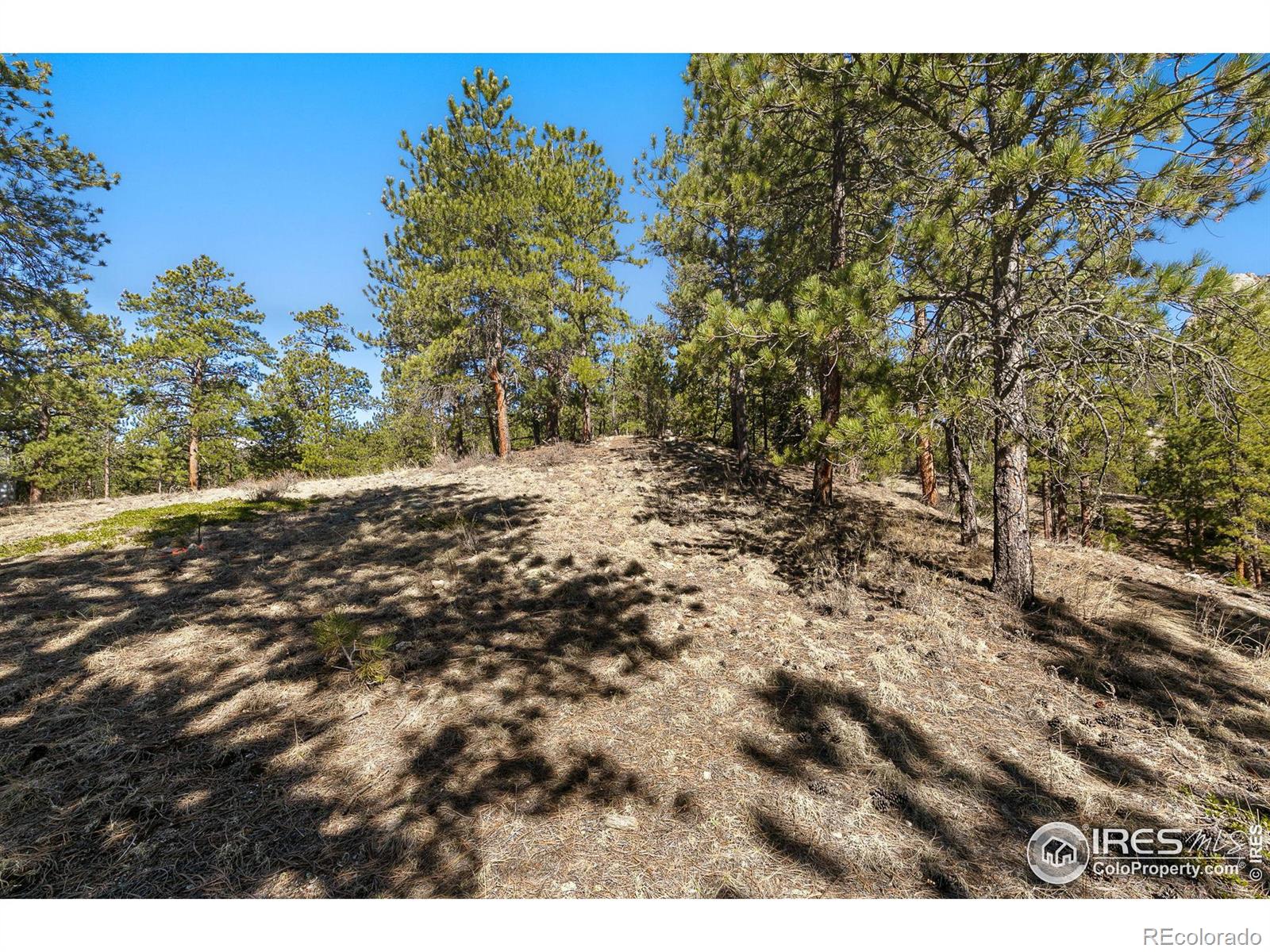 105 Fox Creek Road Glen Haven CO 80532