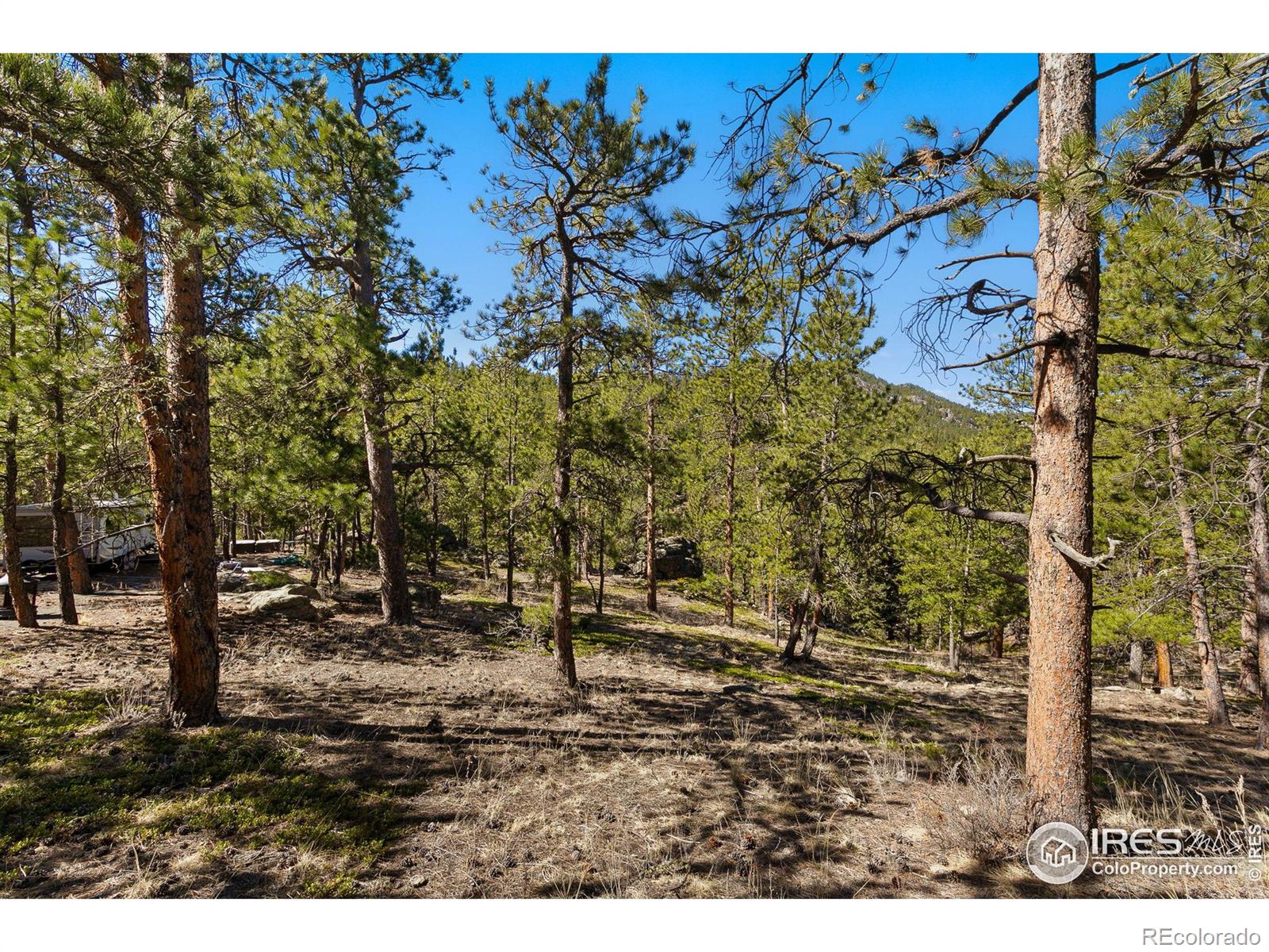 105 Fox Creek Road Glen Haven CO 80532