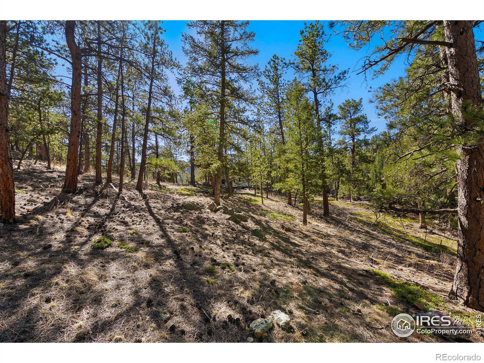 105 Fox Creek Road Glen Haven CO 80532