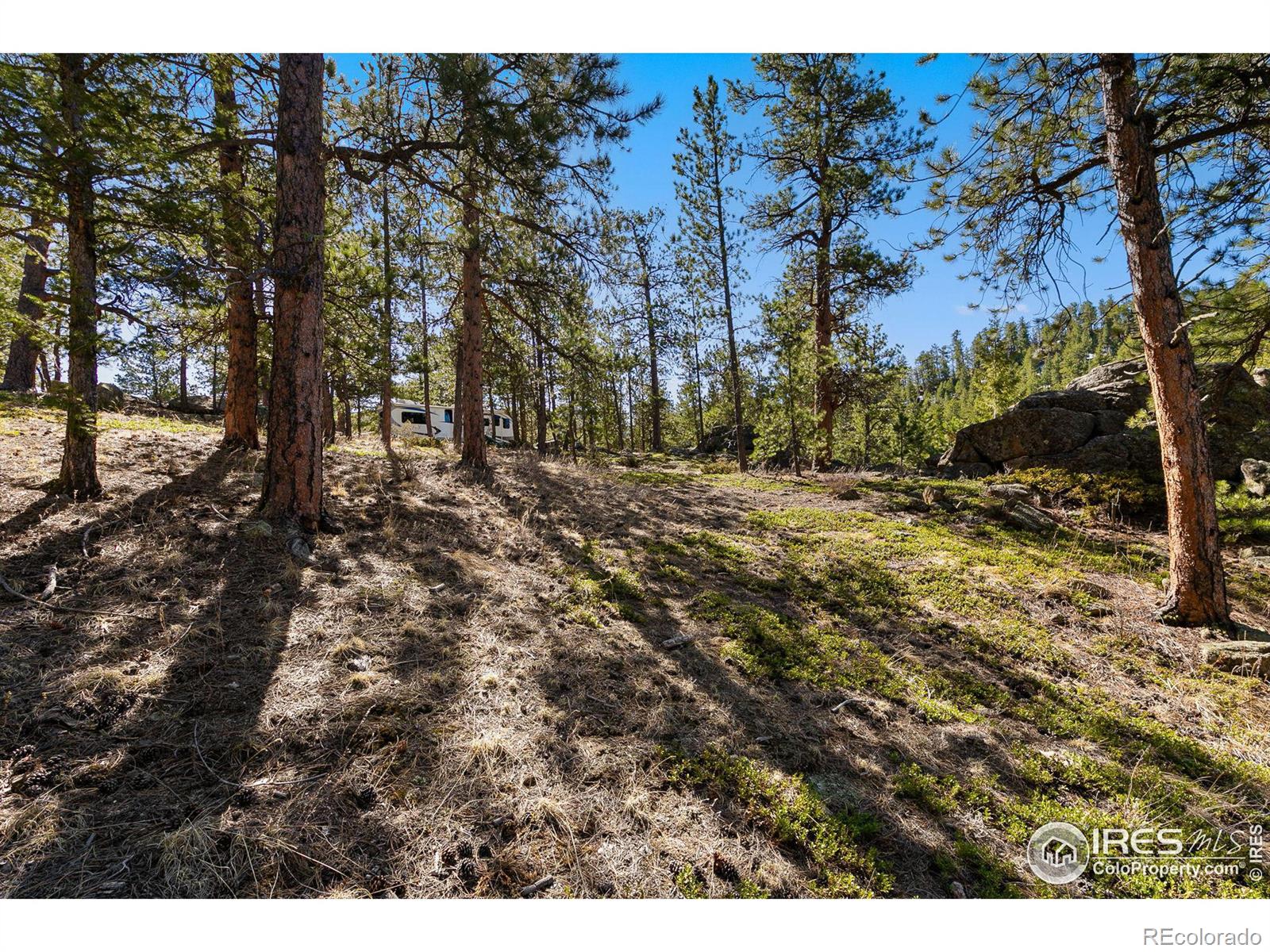 105 Fox Creek Road Glen Haven CO 80532