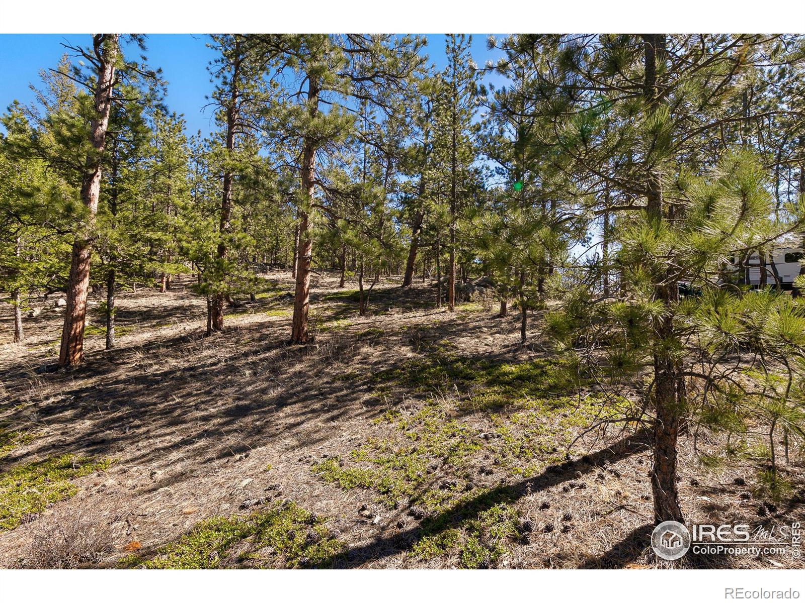 105 Fox Creek Road Glen Haven CO 80532