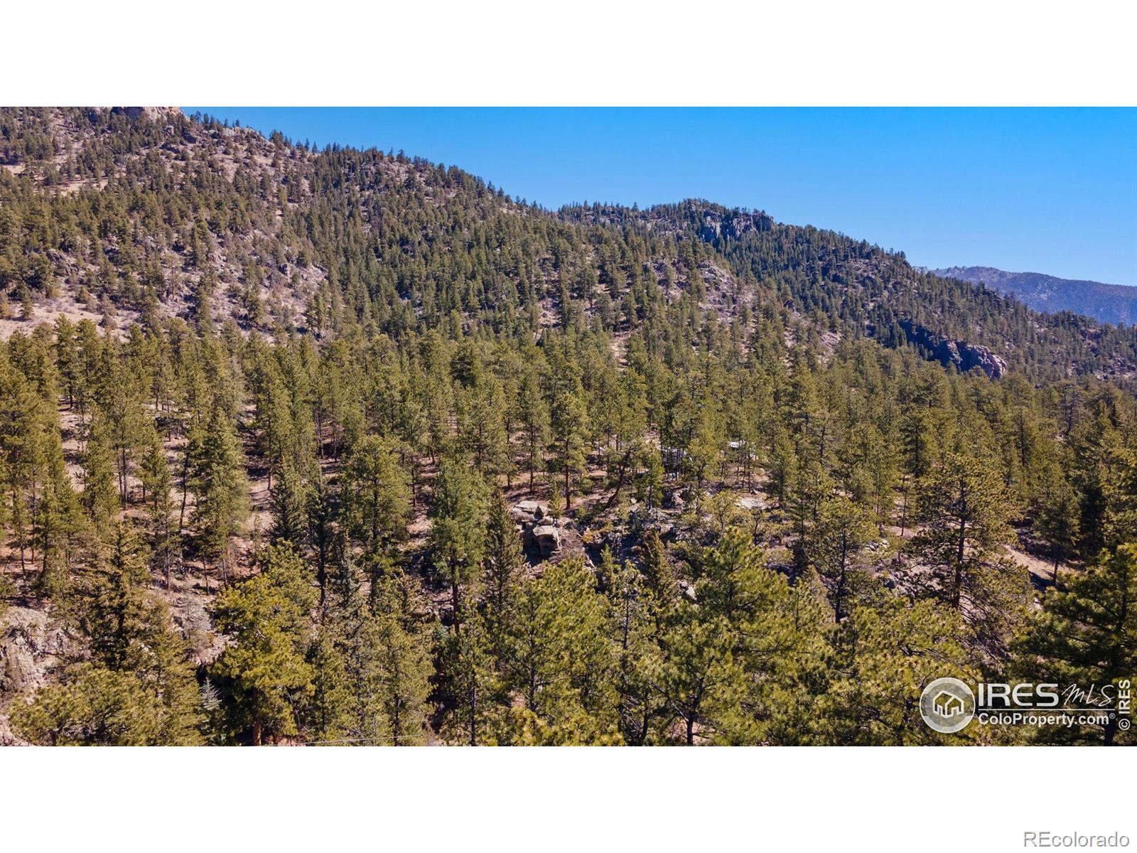 105 Fox Creek Road Glen Haven CO 80532