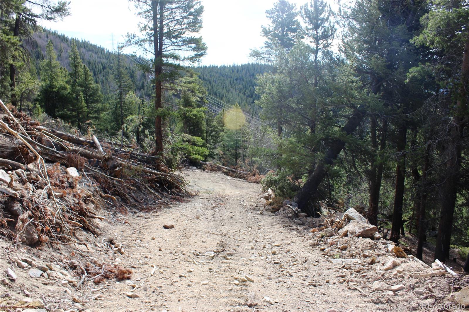 4-1 Lamertine Road Idaho Springs CO 80452