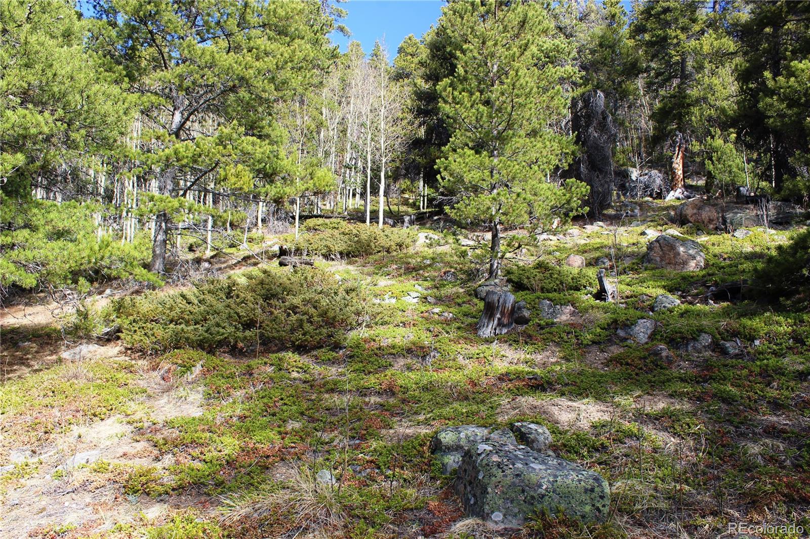 4-1 Lamertine Road Idaho Springs CO 80452