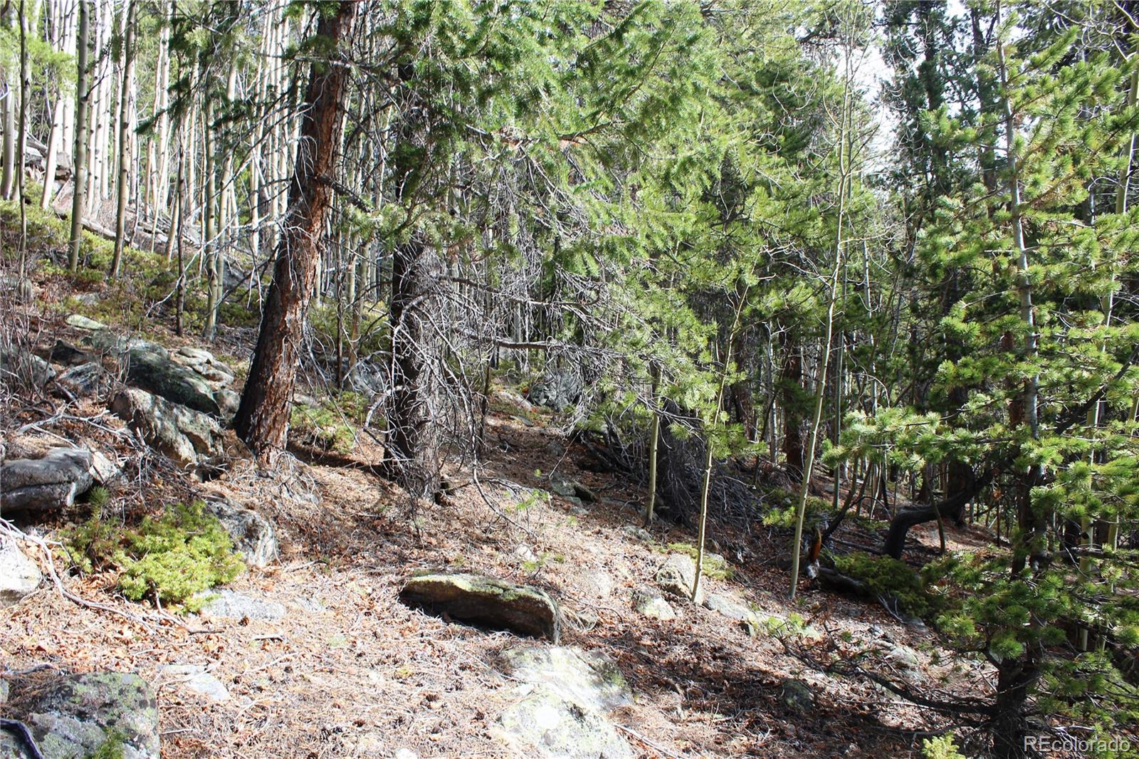 4-1 Lamertine Road Idaho Springs CO 80452