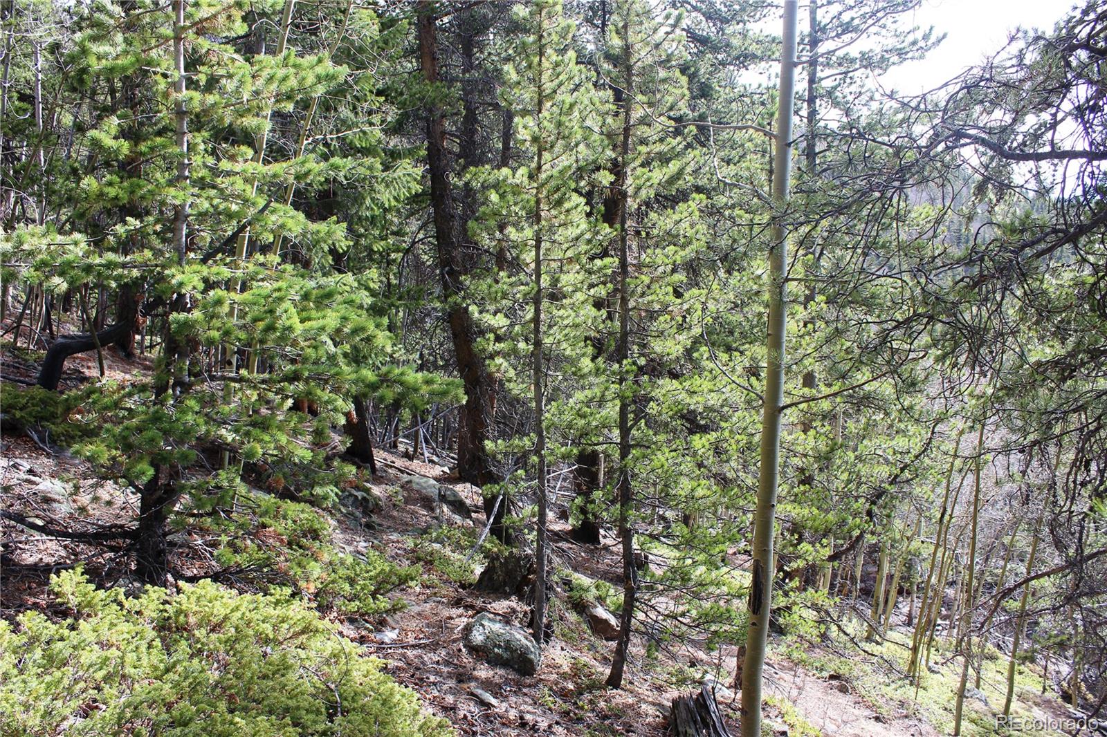 4-1 Lamertine Road Idaho Springs CO 80452