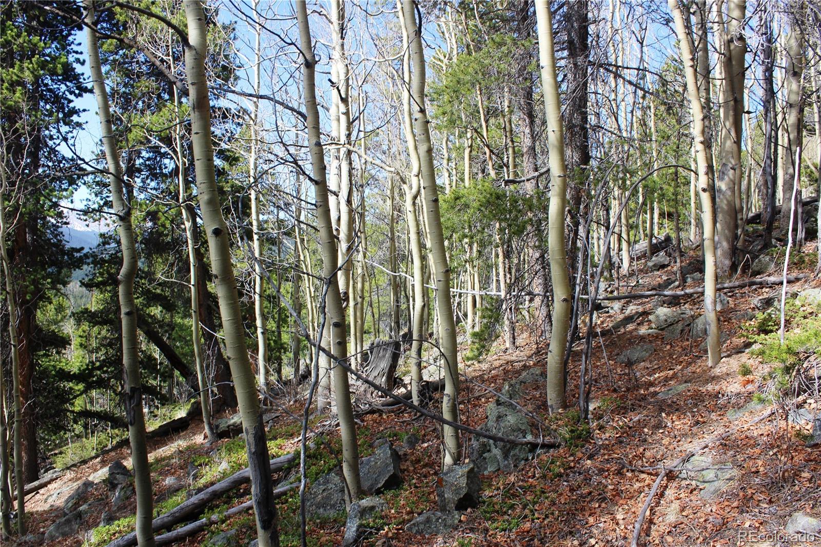 4-1 Lamertine Road Idaho Springs CO 80452
