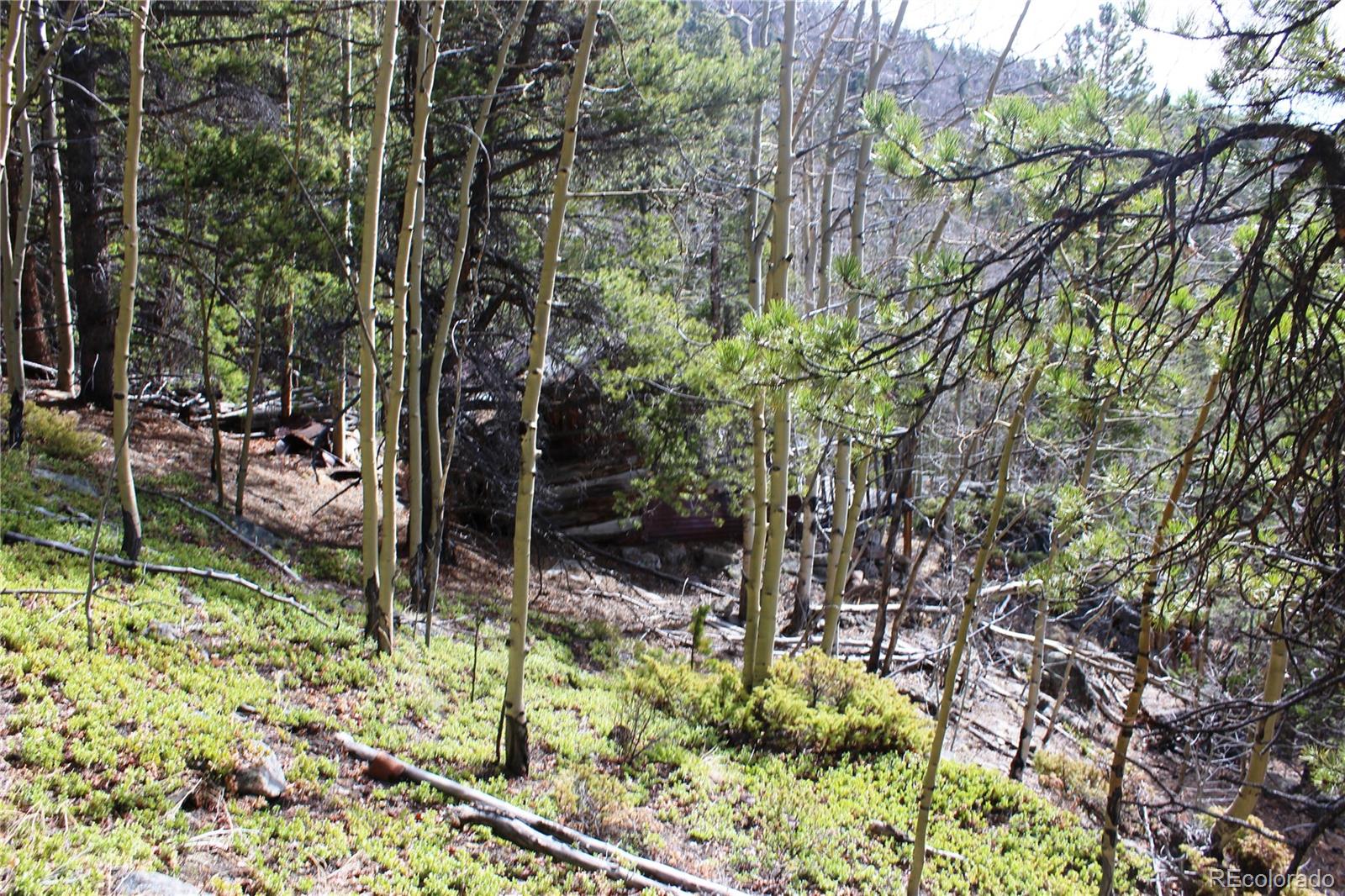 4-1 Lamertine Road Idaho Springs CO 80452