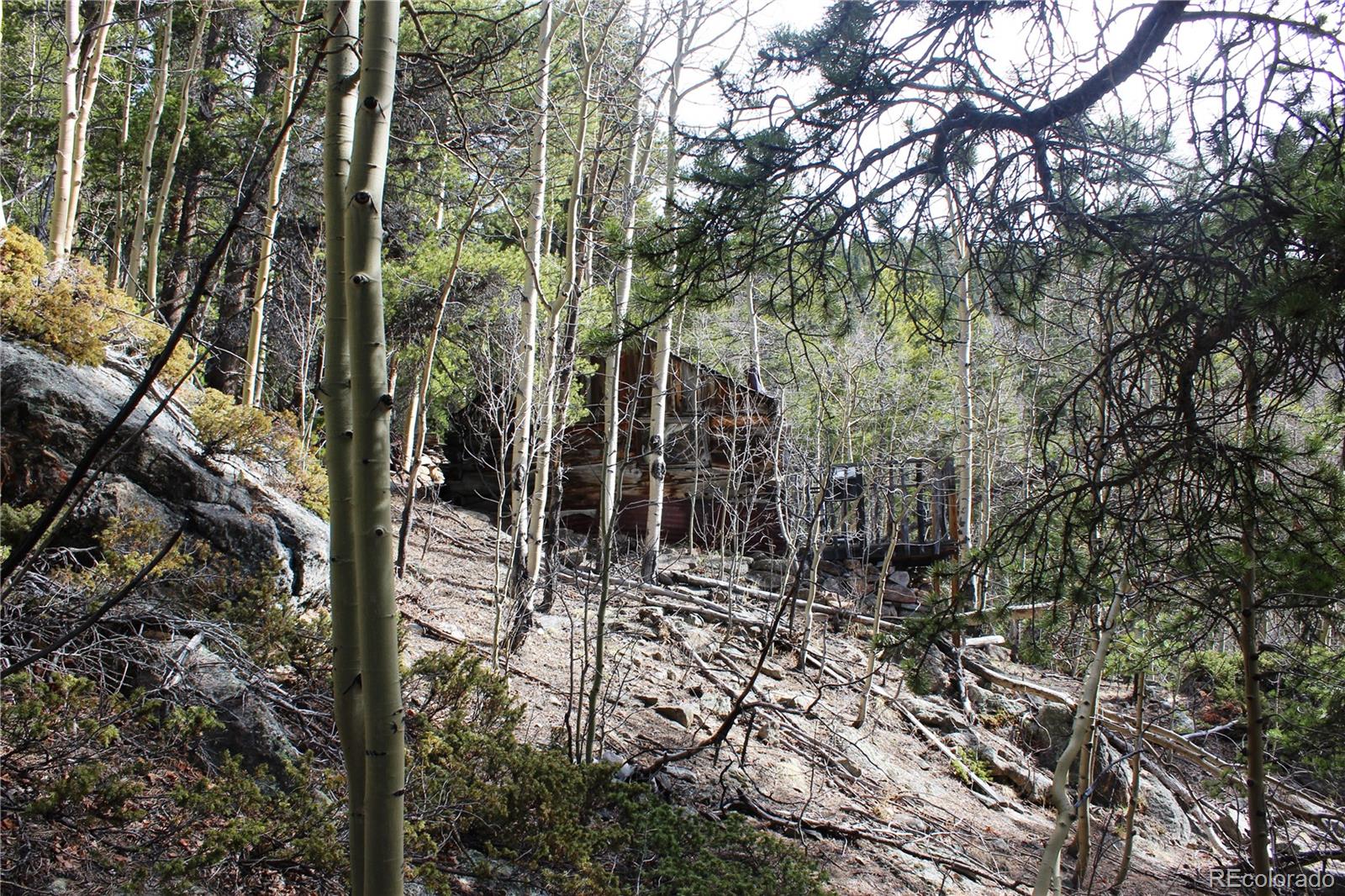 4-1 Lamertine Road Idaho Springs CO 80452