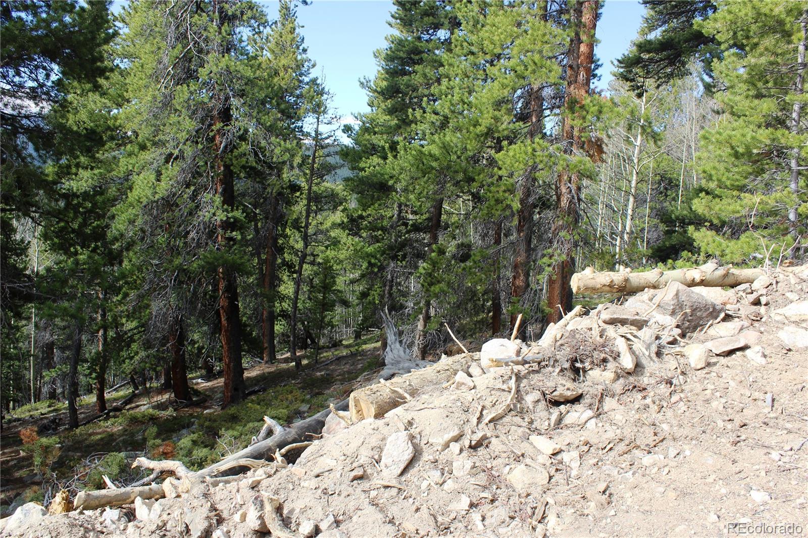 4-1 Lamertine Road Idaho Springs CO 80452