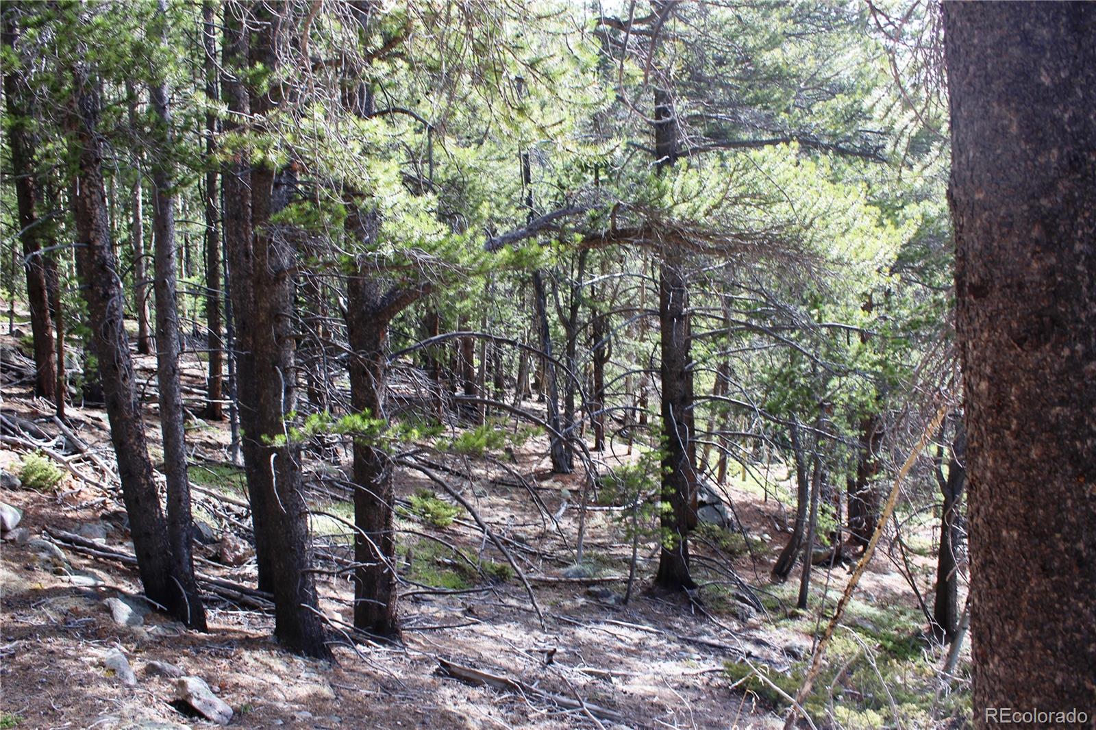 4-1 Lamertine Road Idaho Springs CO 80452