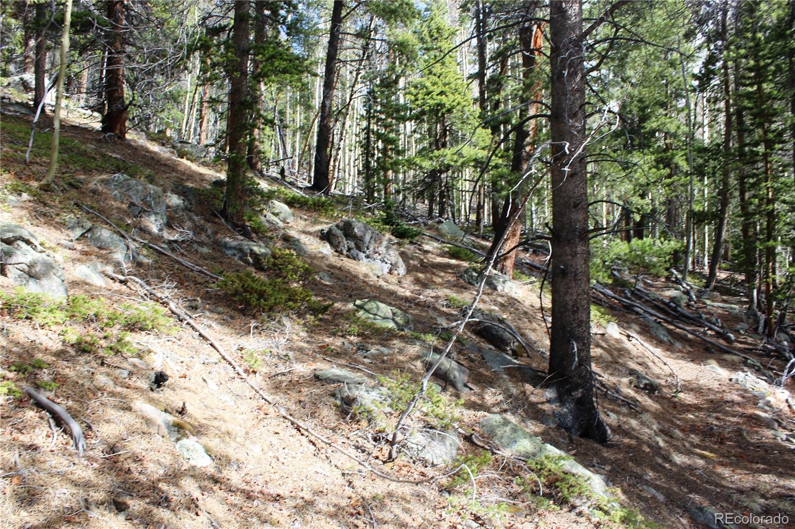 4-1 Lamertine Road Idaho Springs CO 80452