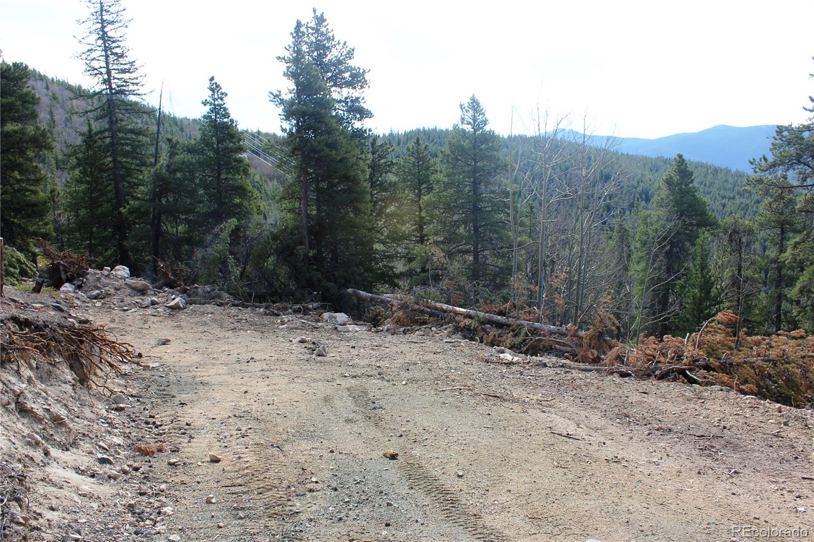 4-1 Lamertine Road Idaho Springs CO 80452