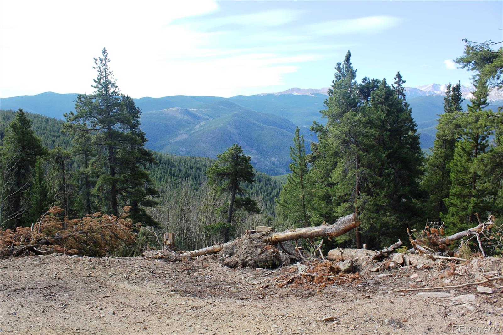 4-1 Lamertine Road Idaho Springs CO 80452