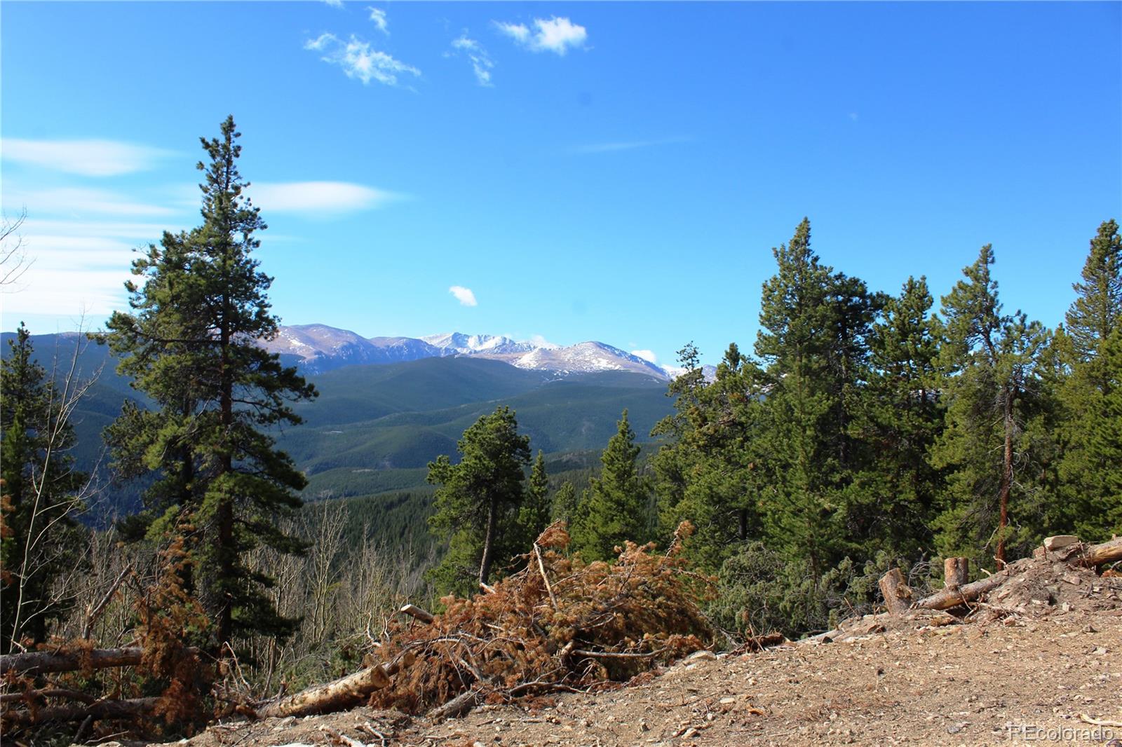 4-1 Lamertine Road Idaho Springs CO 80452