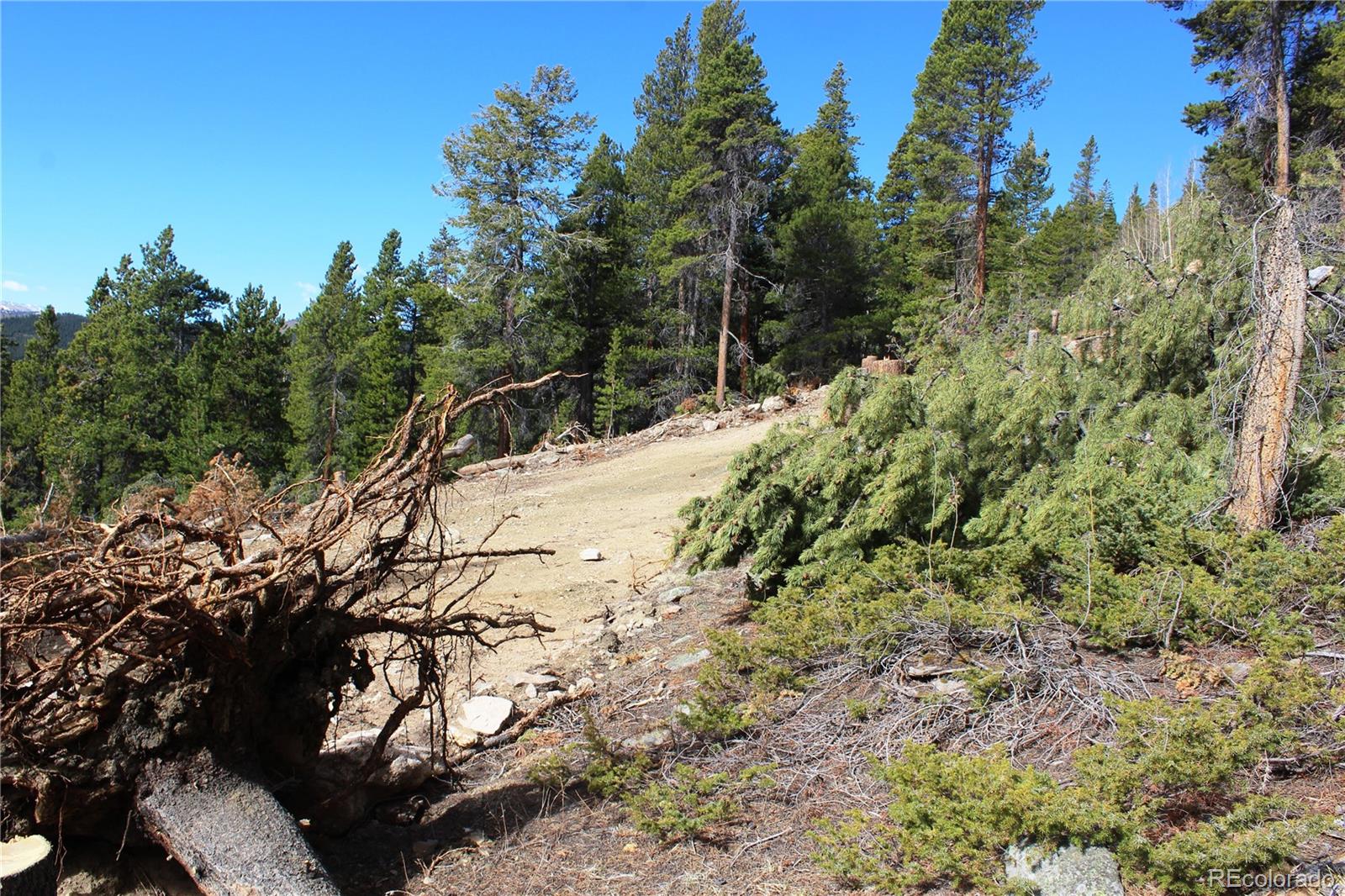 4-1 Lamertine Road Idaho Springs CO 80452