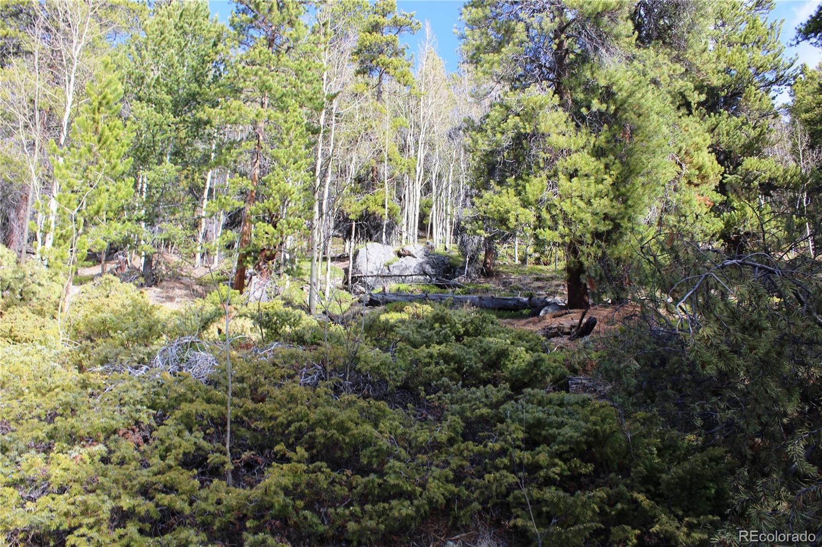 4-1 Lamertine Road Idaho Springs CO 80452
