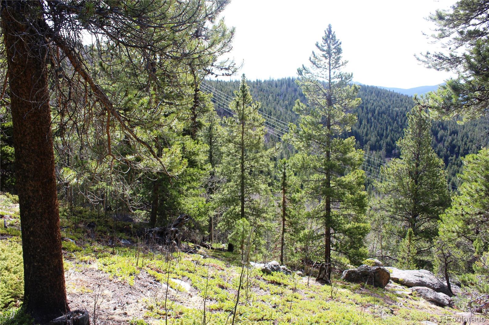 4-1 Lamertine Road Idaho Springs CO 80452