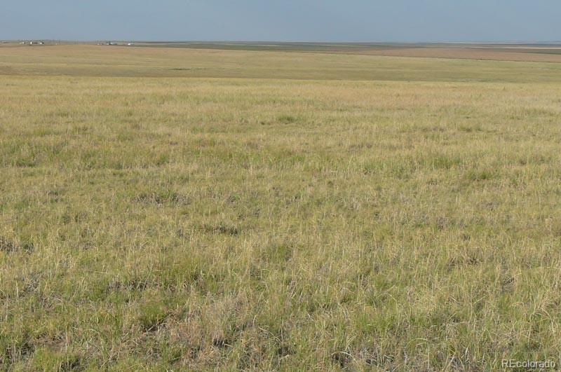 2215 Cr 269 Deer Trail CO 80105