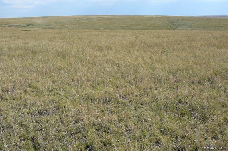 2215 Cr 269 Deer Trail CO 80105