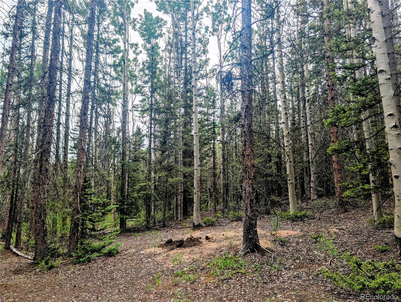 8.5 Acres Phillips Road Fort Garland CO 81133
