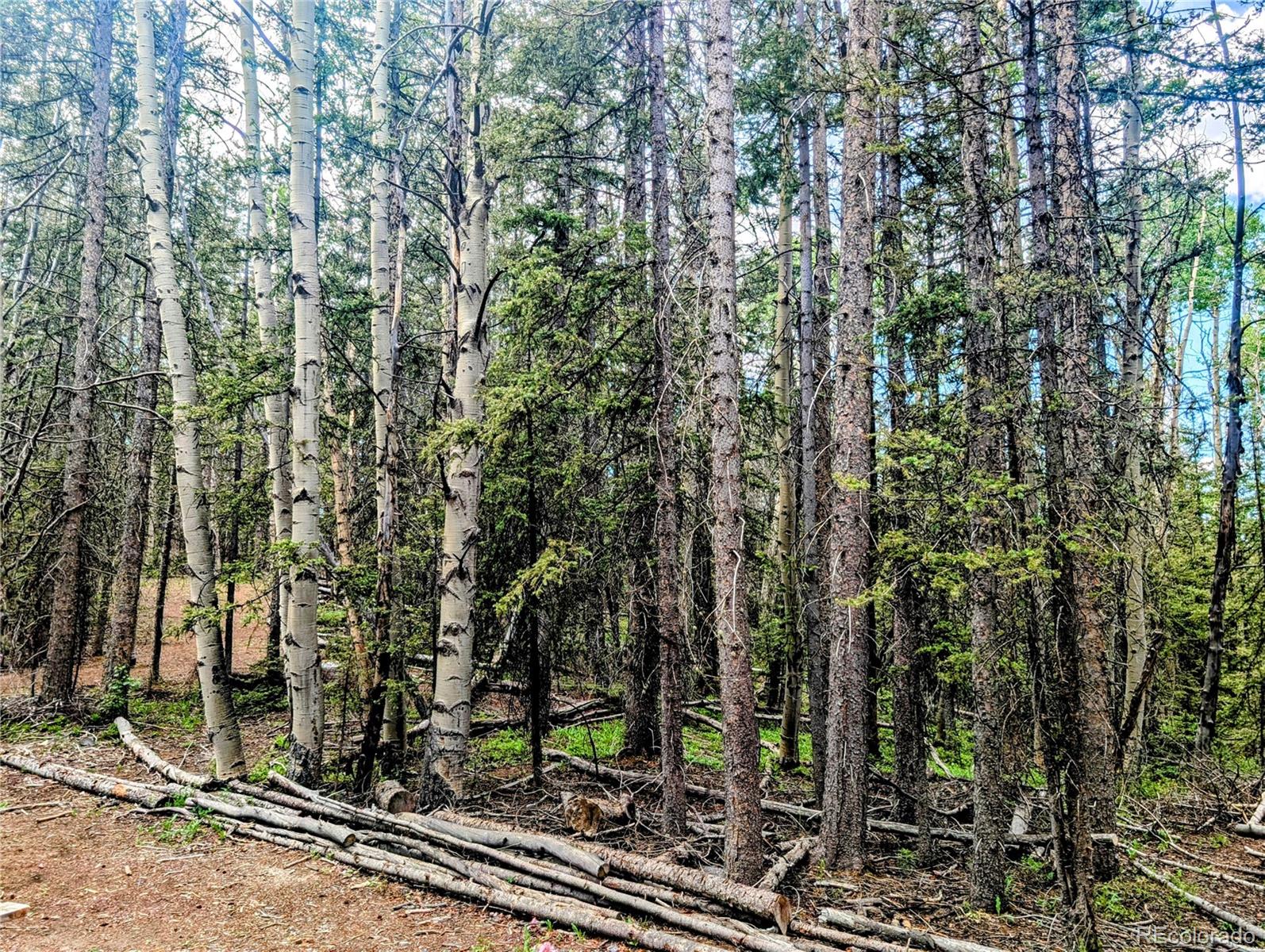 8.5 Acres Phillips Road Fort Garland CO 81133