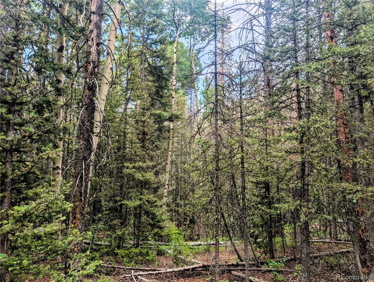 8.5 Acres Phillips Road Fort Garland CO 81133
