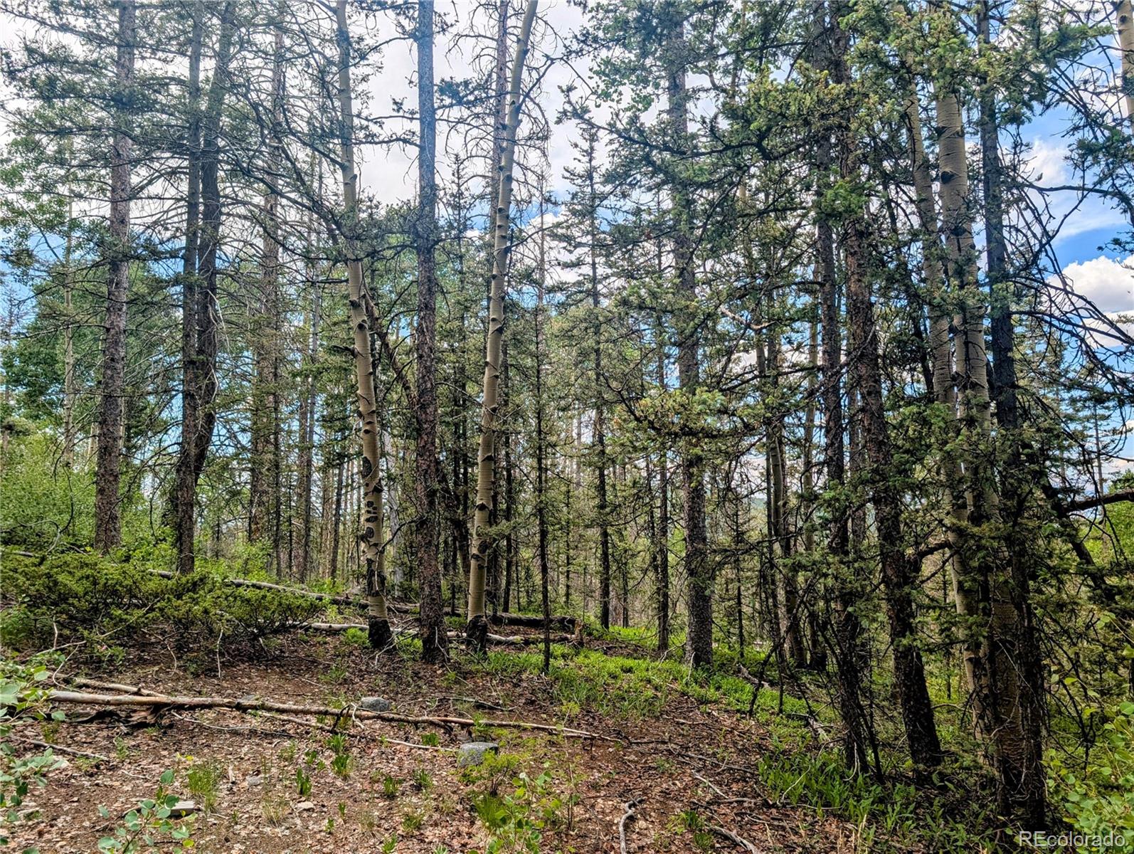 8.5 Acres Phillips Road Fort Garland CO 81133