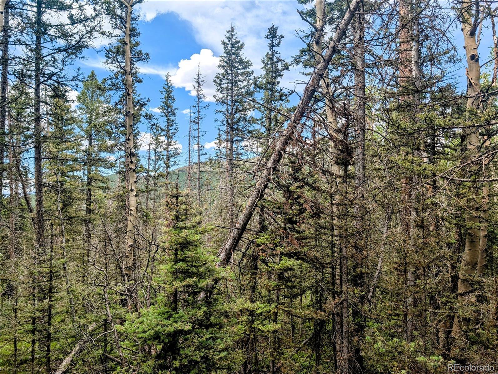 8.5 Acres Phillips Road Fort Garland CO 81133