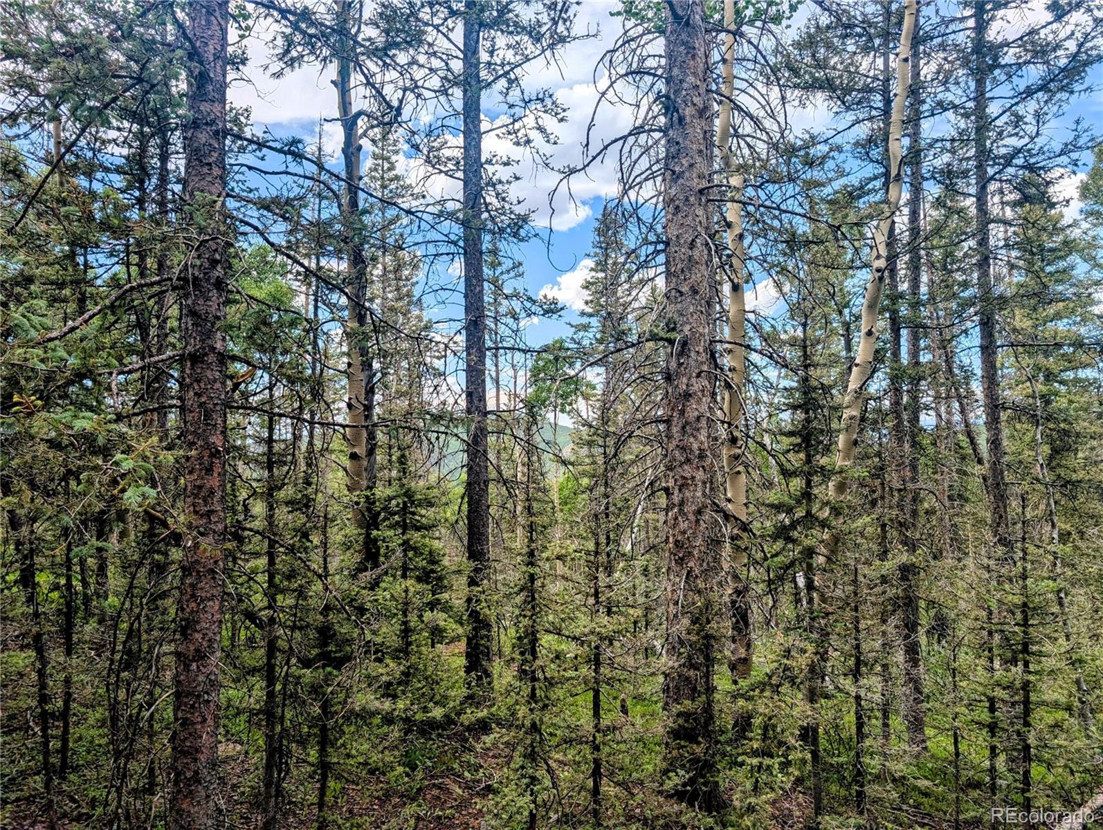 8.5 Acres Phillips Road Fort Garland CO 81133