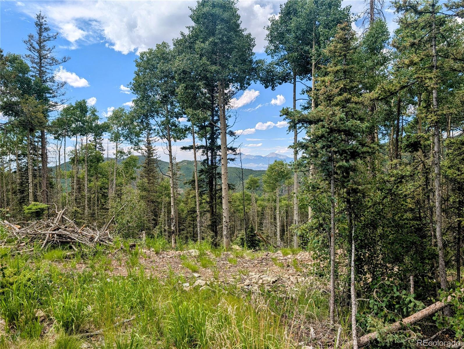 8.5 Acres Phillips Road Fort Garland CO 81133
