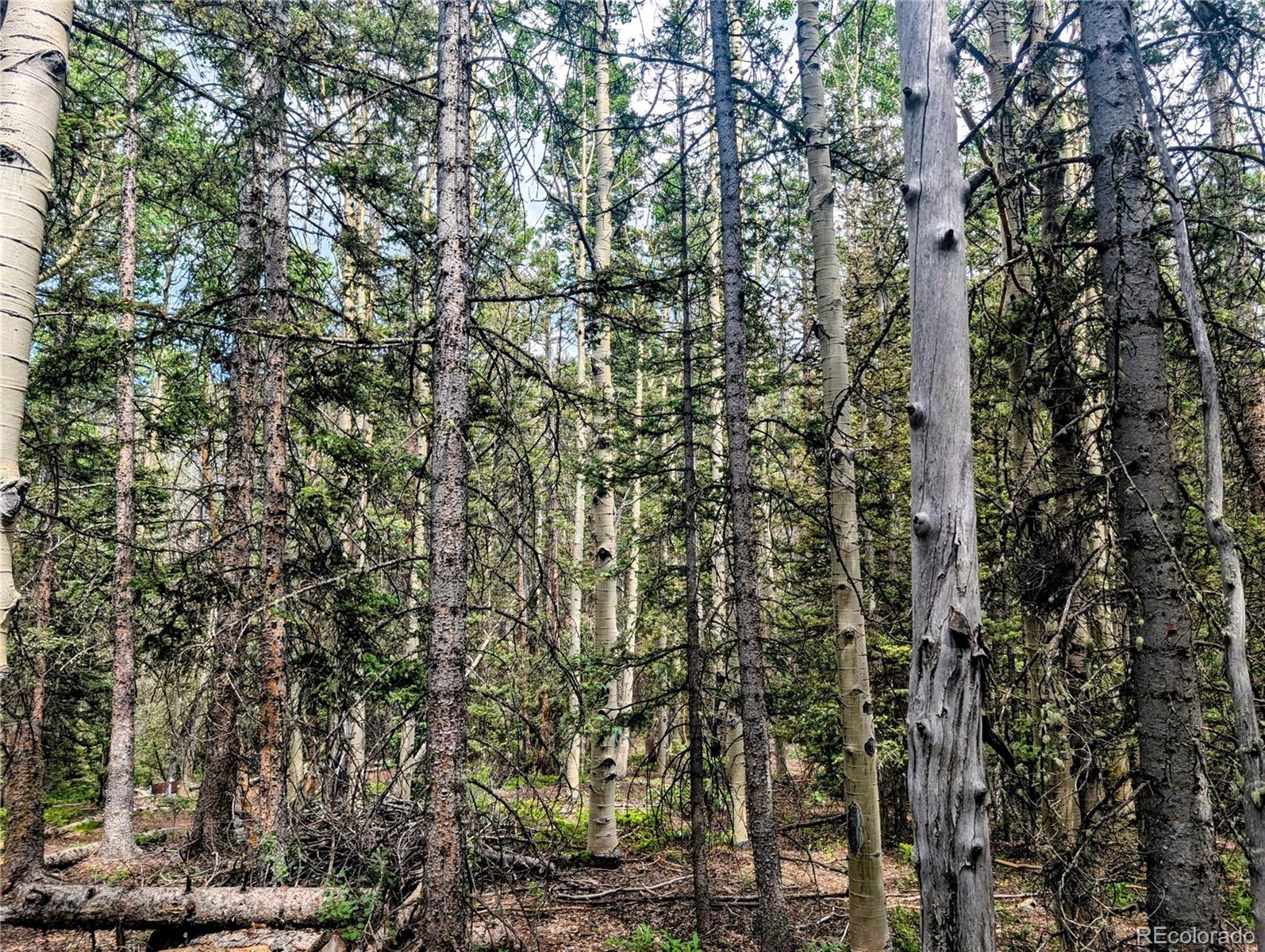 8.5 Acres Phillips Road Fort Garland CO 81133